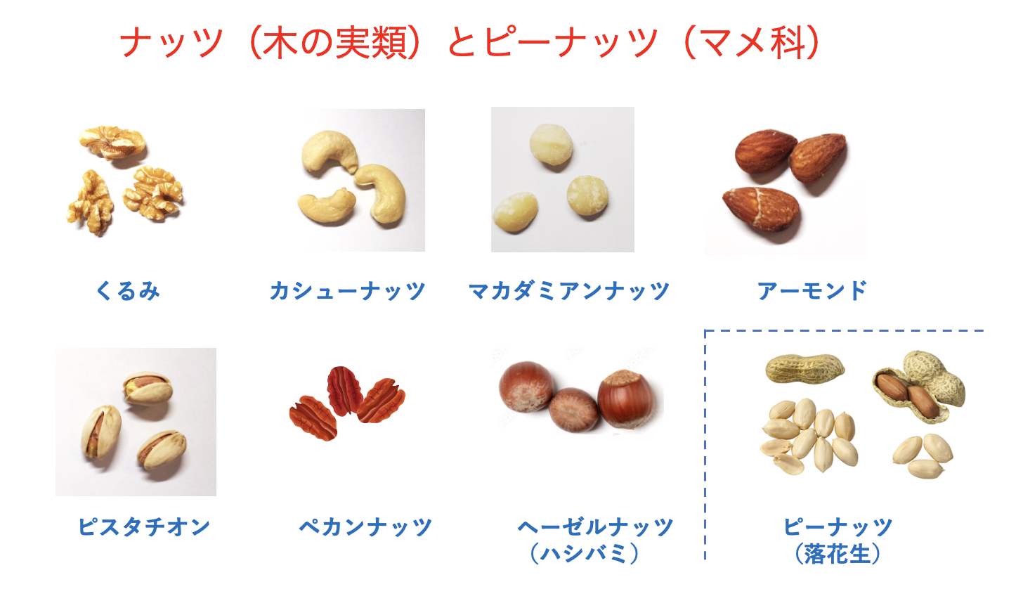 ナッツの種類一覧表: ミックスナッツ – あなたはどのナッツ派?主要10種類のナッツを徹底比較! – LZCCO