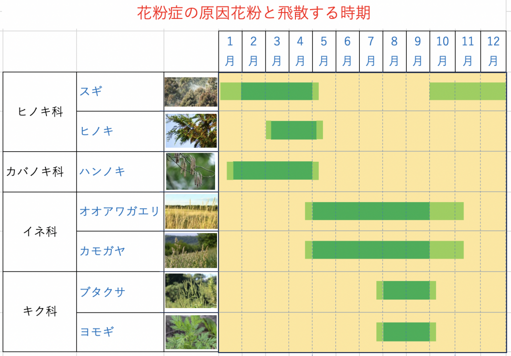 花粉症の原因となる植物とその花粉の飛散時期を示した図表。ヒノキ科（スギ、ヒノキ）、カバノキ科（ハンノキ）、イネ科（オオアワガエリ、カモガヤ）、キク科（ブタクサ、ヨモギ）の花粉飛散時期が月ごとに色分けで表示されている。スギは2～4月、ヒノキは3～5月、ハンノキは1～4月、イネ科は5～8月、キク科は8～10月に飛散がピークを迎える。
