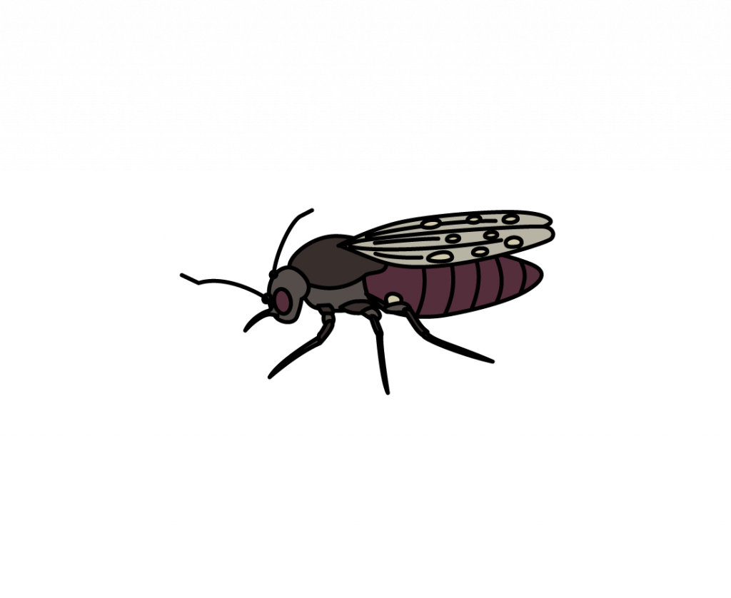 ヌカカ(干拓虫)のイラスト。小さく黒っぽい体に斑点模様の羽をもつ吸血性の虫で、米子市など干拓地周辺に多く発生します。